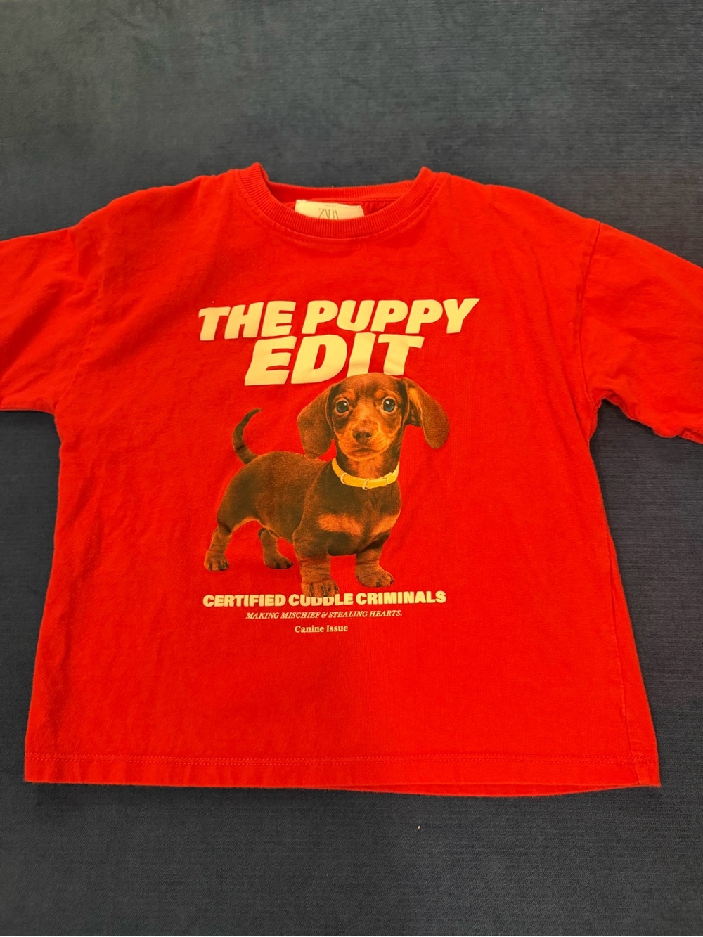 Zara Red "The Puppy Edit" Graphic Dog Tee
